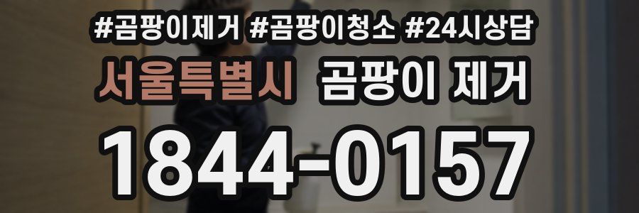 서울특별시 곰팡이 제거