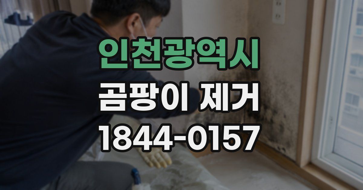 인천광역시 곰팡이 제거