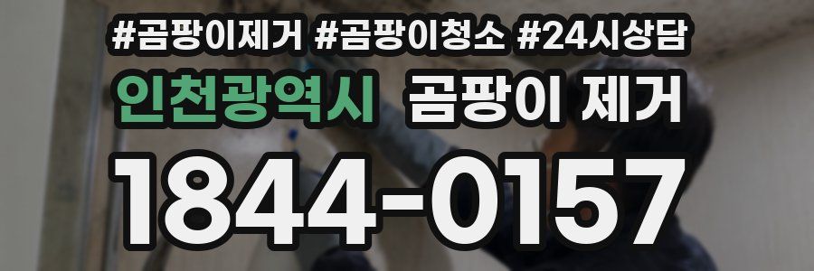 인천광역시 곰팡이 제거