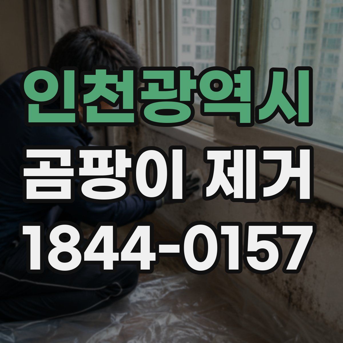 인천광역시 곰팡이 제거