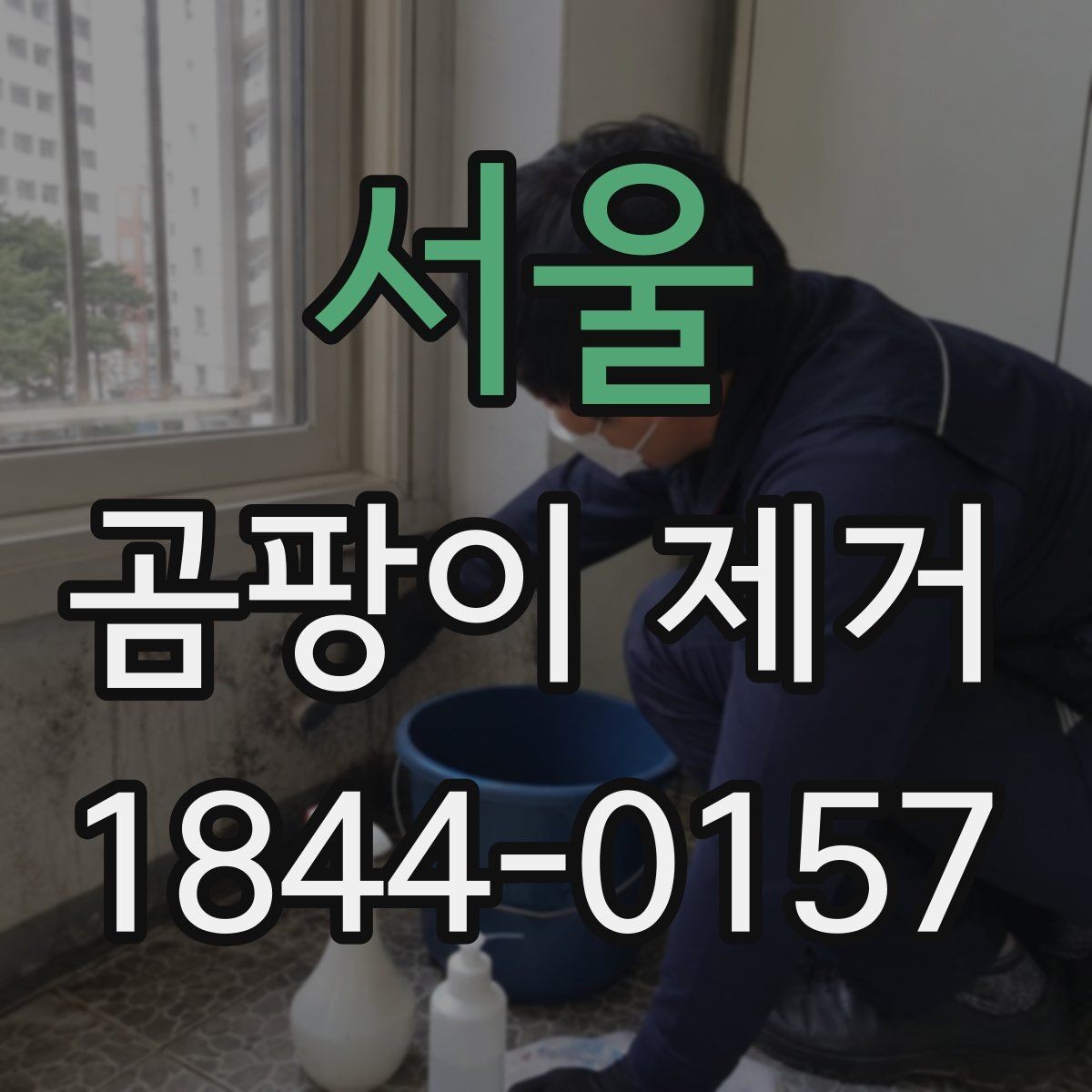 서울 곰팡이 제거 주방과 욕실 경계에서 자주 생기는 이유