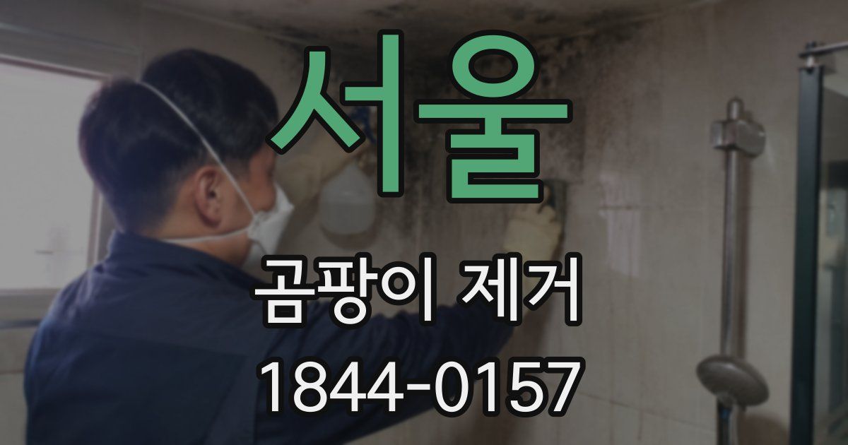 서울 곰팡이 제거