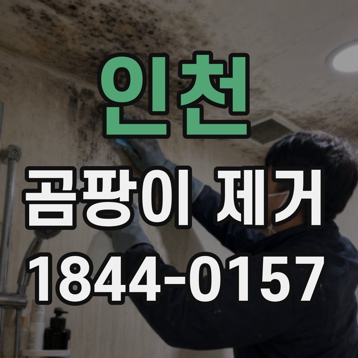인천 곰팡이 제거