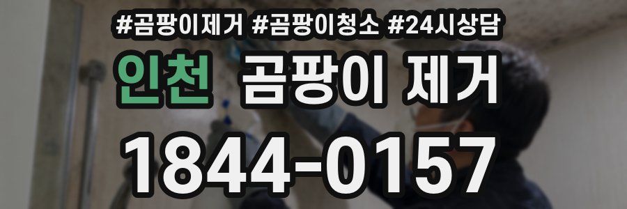 인천 곰팡이 제거