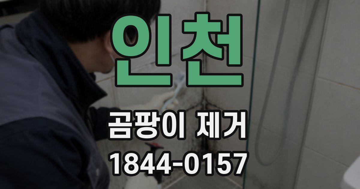 인천 곰팡이 제거