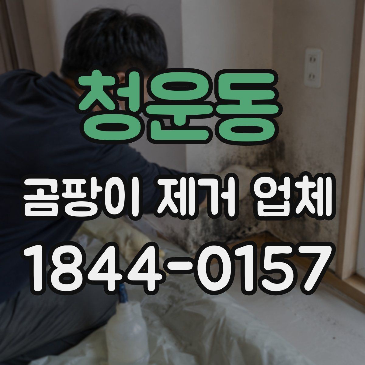 청운동 곰팡이 제거 업체 장마철 실내 오염이 급증할 때 대응하는 방법