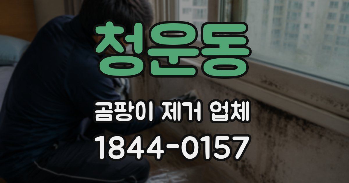 청운동 곰팡이 제거 업체