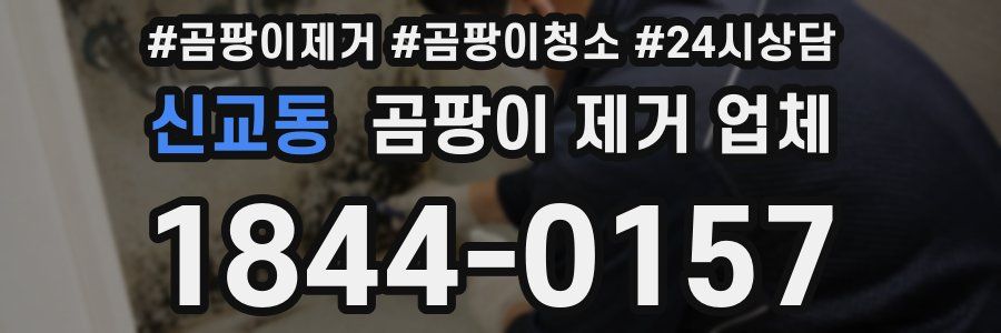 신교동 곰팡이 제거 업체