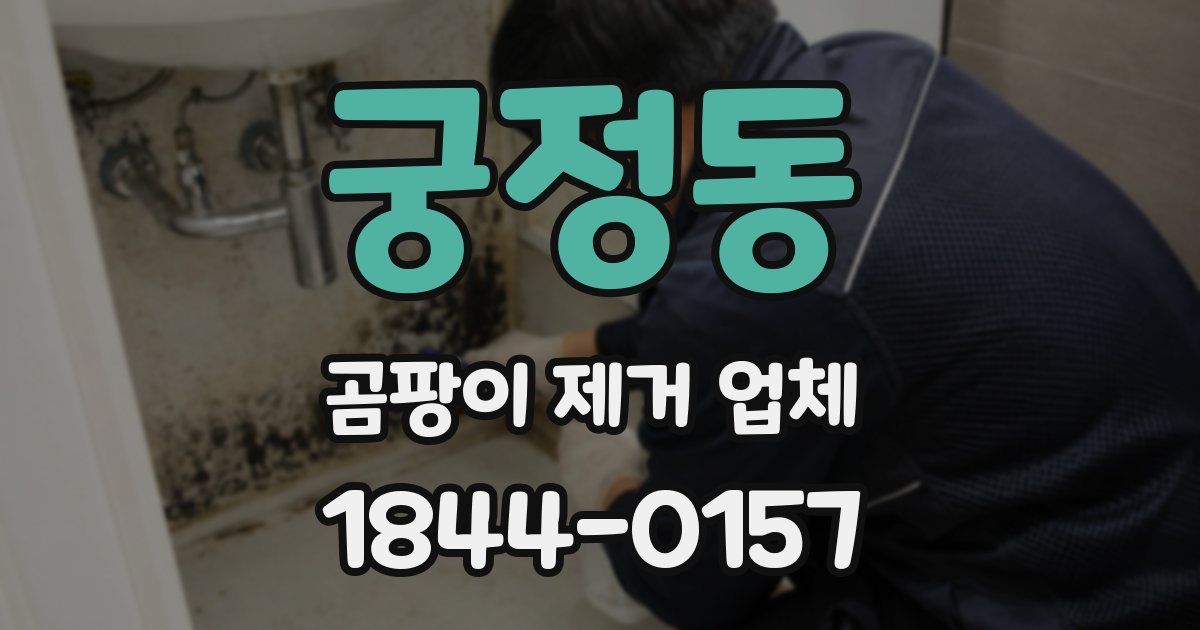 궁정동 곰팡이 제거 업체