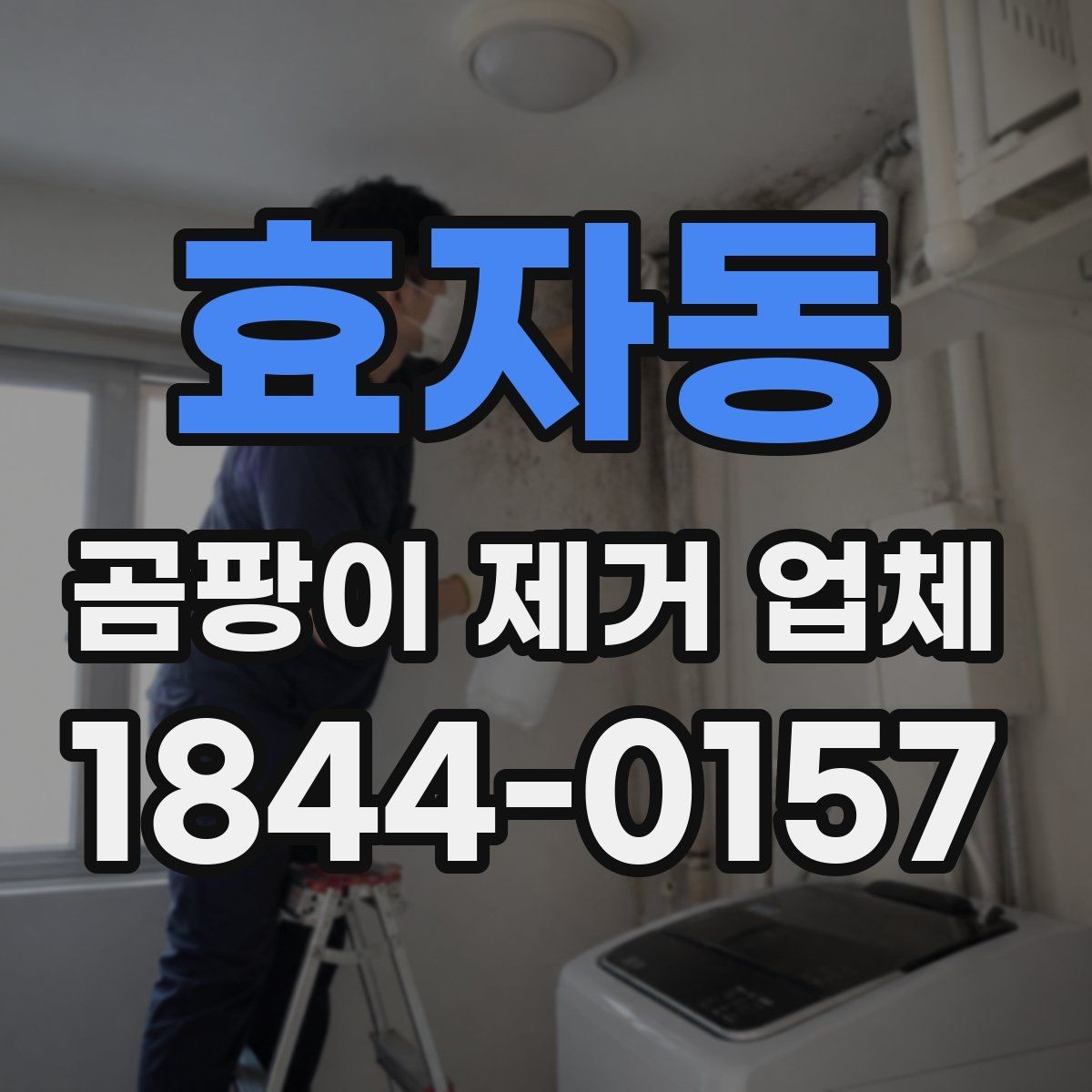 효자동 곰팡이 제거 업체 집주인 상담 전에 준비할 체크 항목
