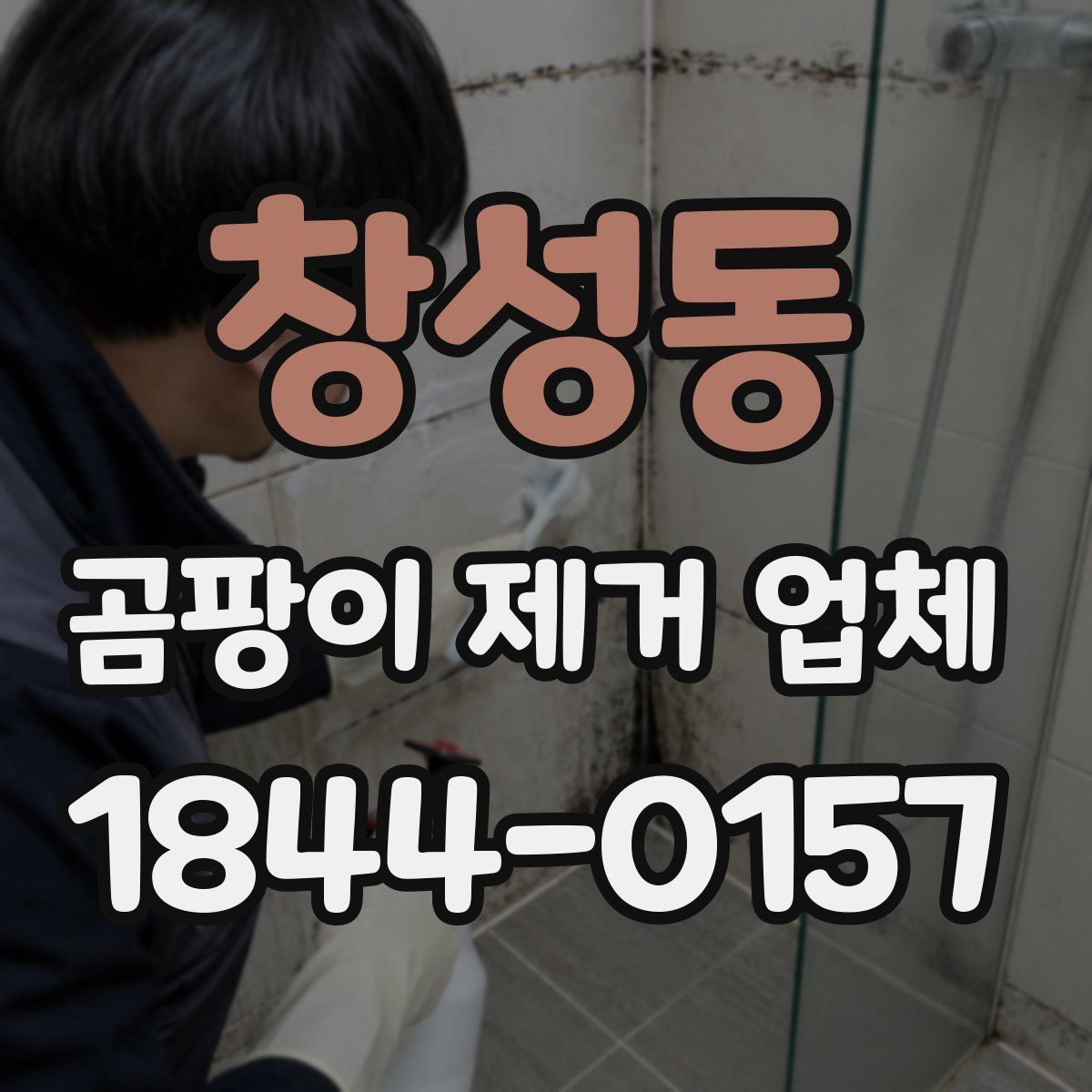 창성동 곰팡이 제거 업체