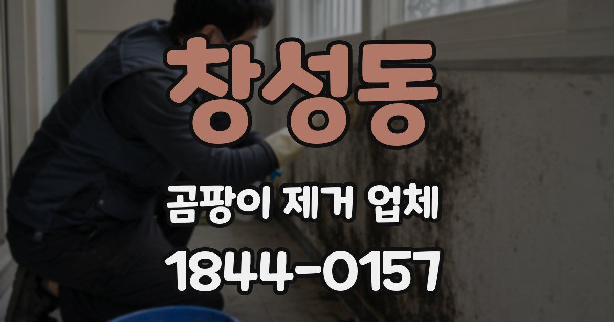 창성동 곰팡이 제거 업체