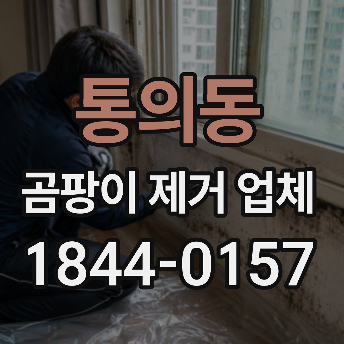 통의동 곰팡이 제거 업체 곰팡이 제거 후 재발 방지에 필요한 확인