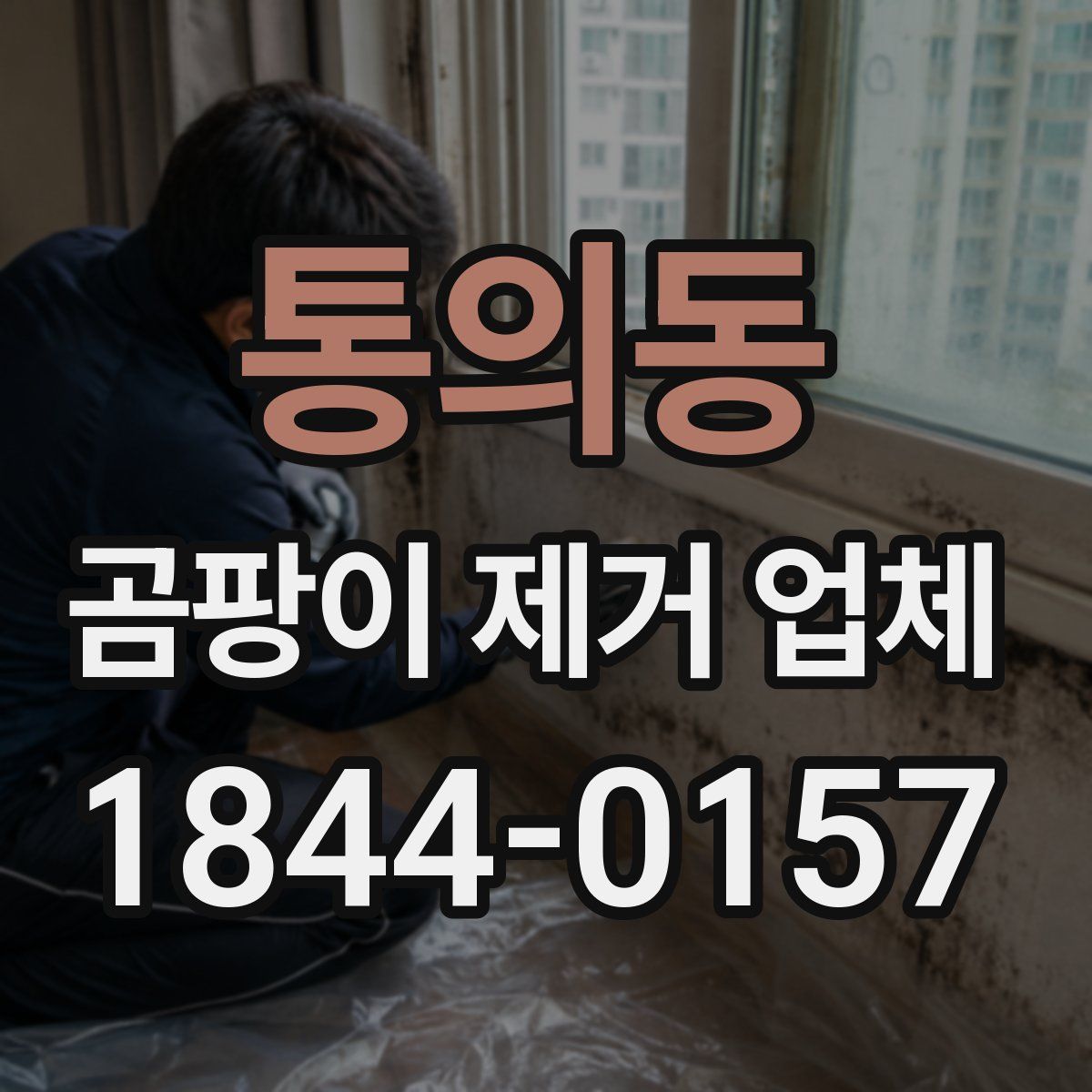 통의동 곰팡이 제거 업체