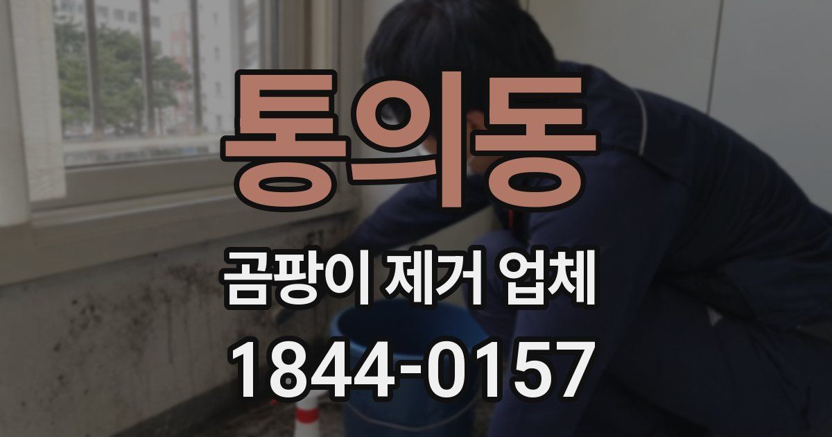 통의동 곰팡이 제거 업체