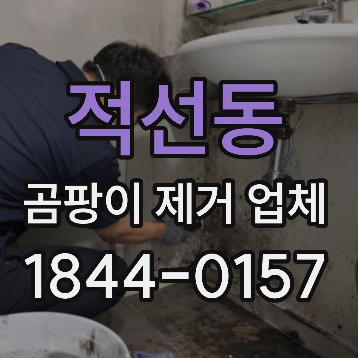 적선동 곰팡이 제거 업체