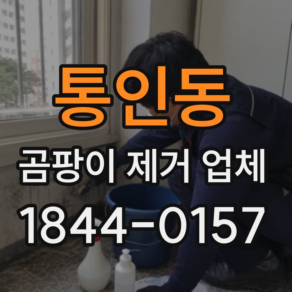 통인동 곰팡이 제거 업체