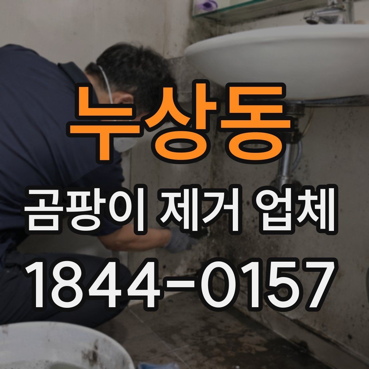 누상동 곰팡이 제거 업체 벽지와 석고보드 상태로 보는 제거 범위