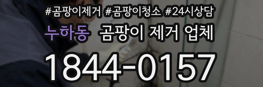 누하동 곰팡이 제거 업체