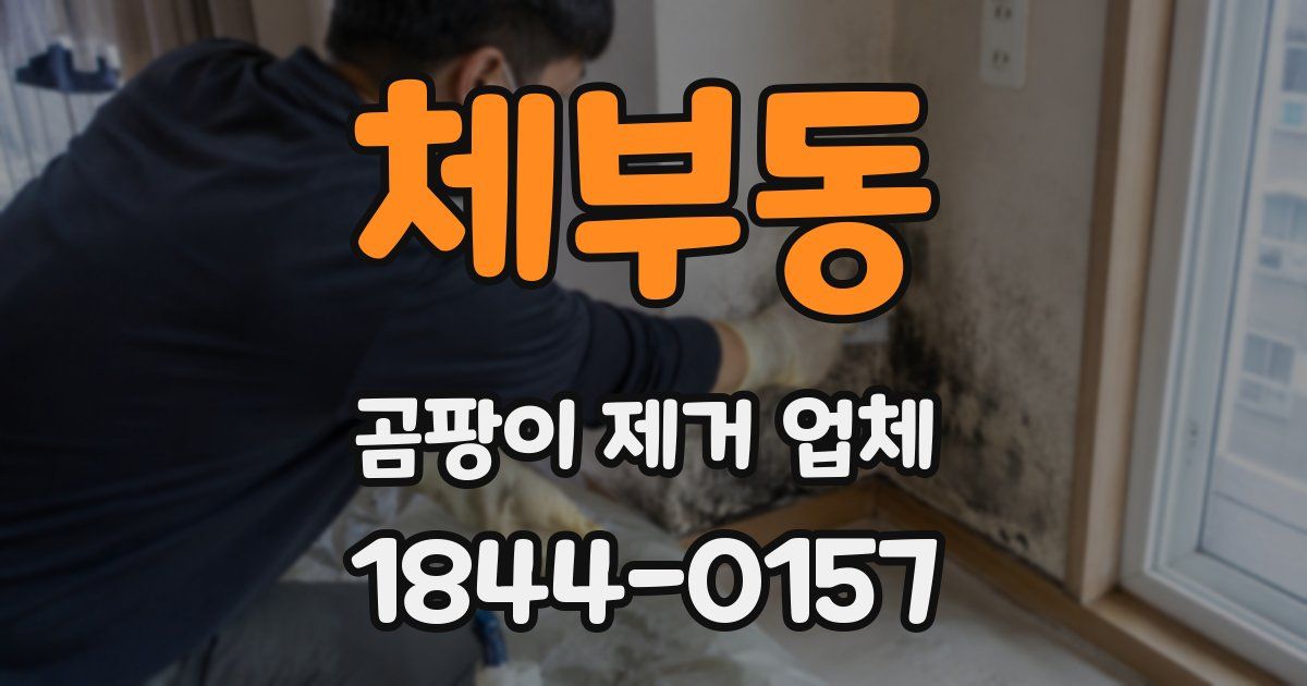 체부동 곰팡이 제거 업체