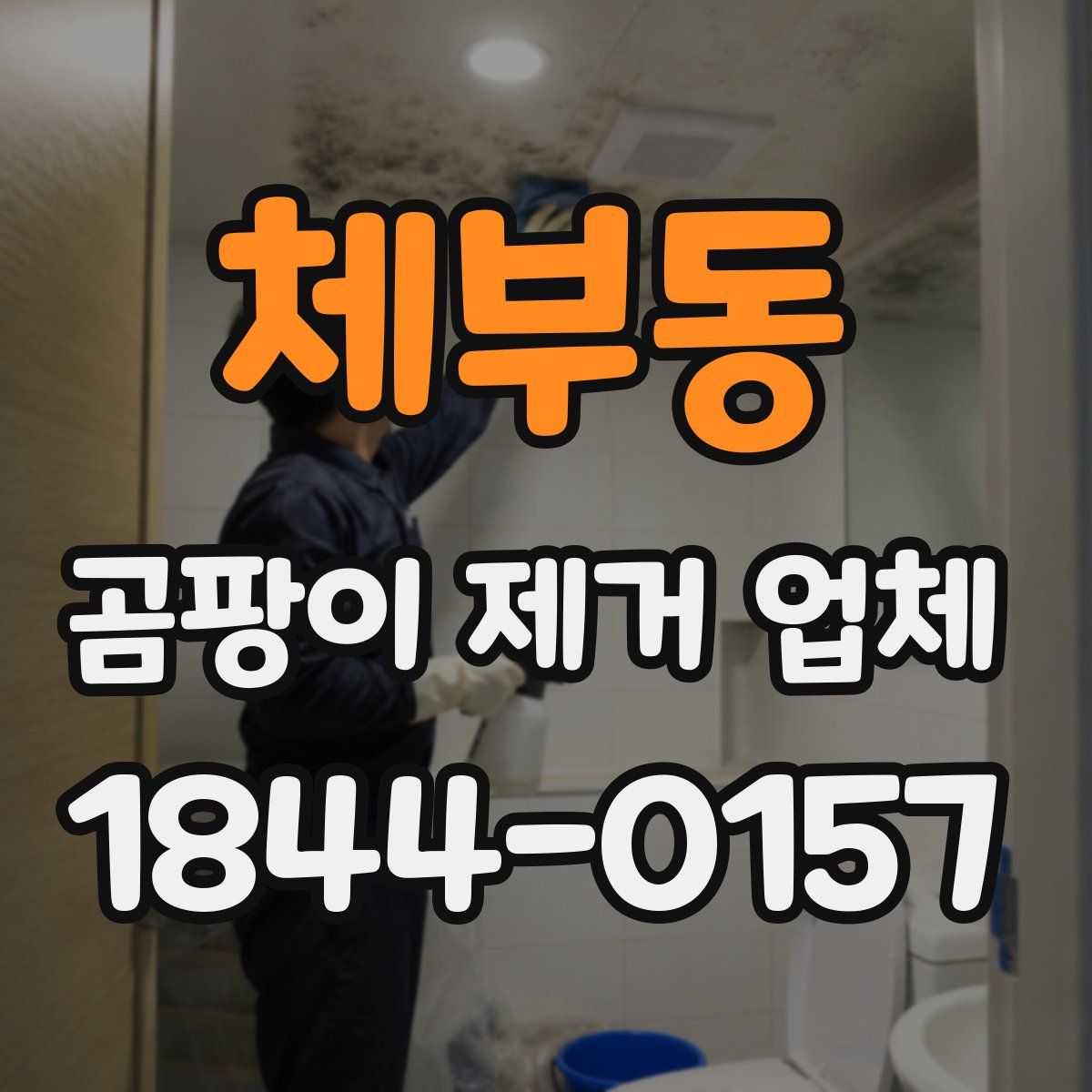 체부동 곰팡이 제거 업체