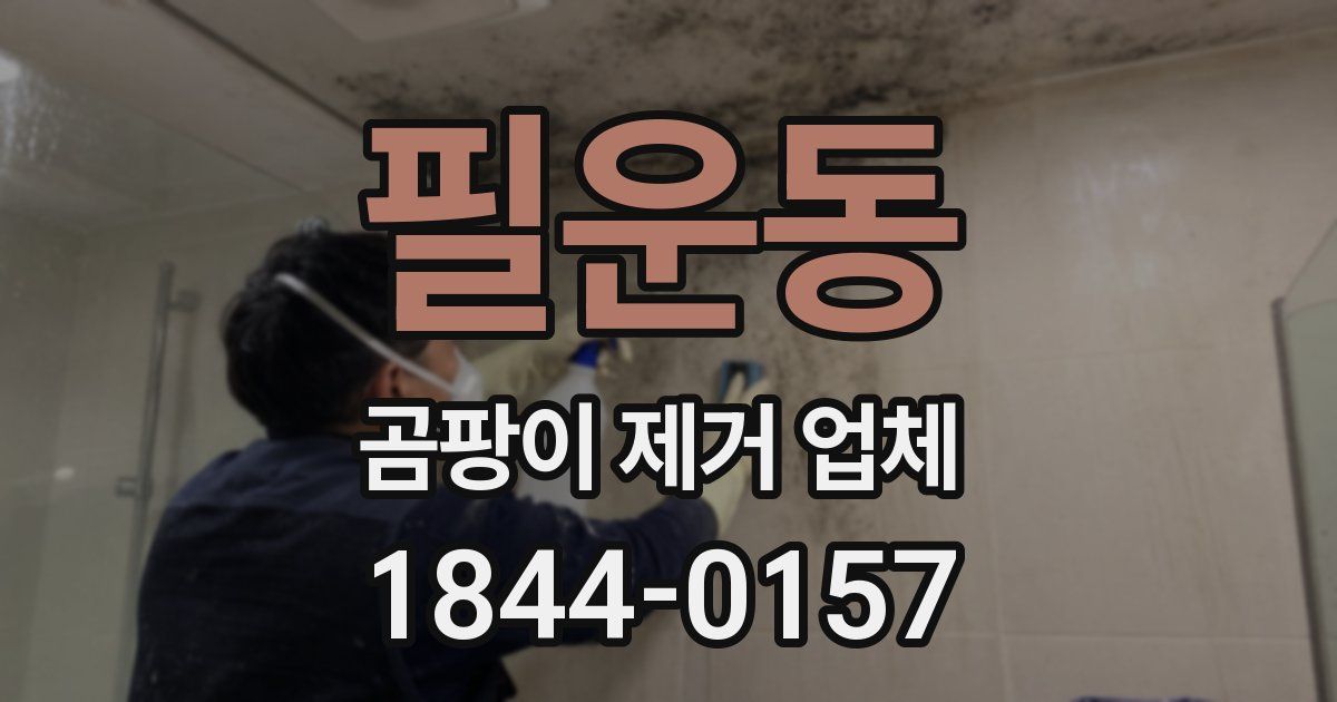 필운동 곰팡이 제거 업체