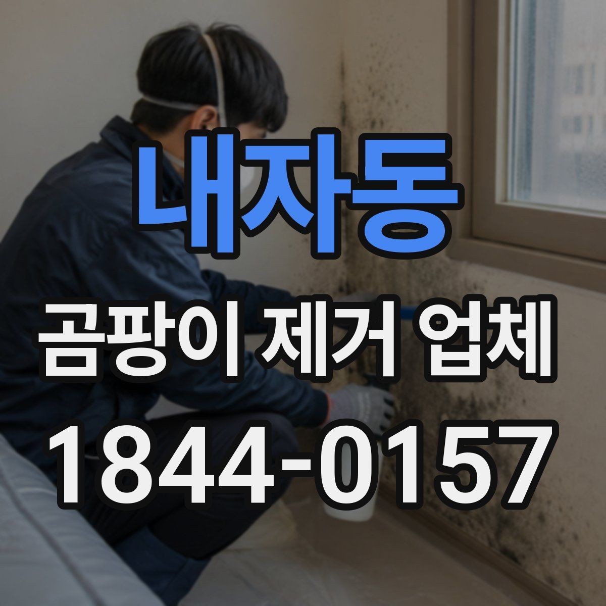 내자동 곰팡이 제거 업체 결로 자국과 표면 곰팡이를 구분하는 상담 포인트