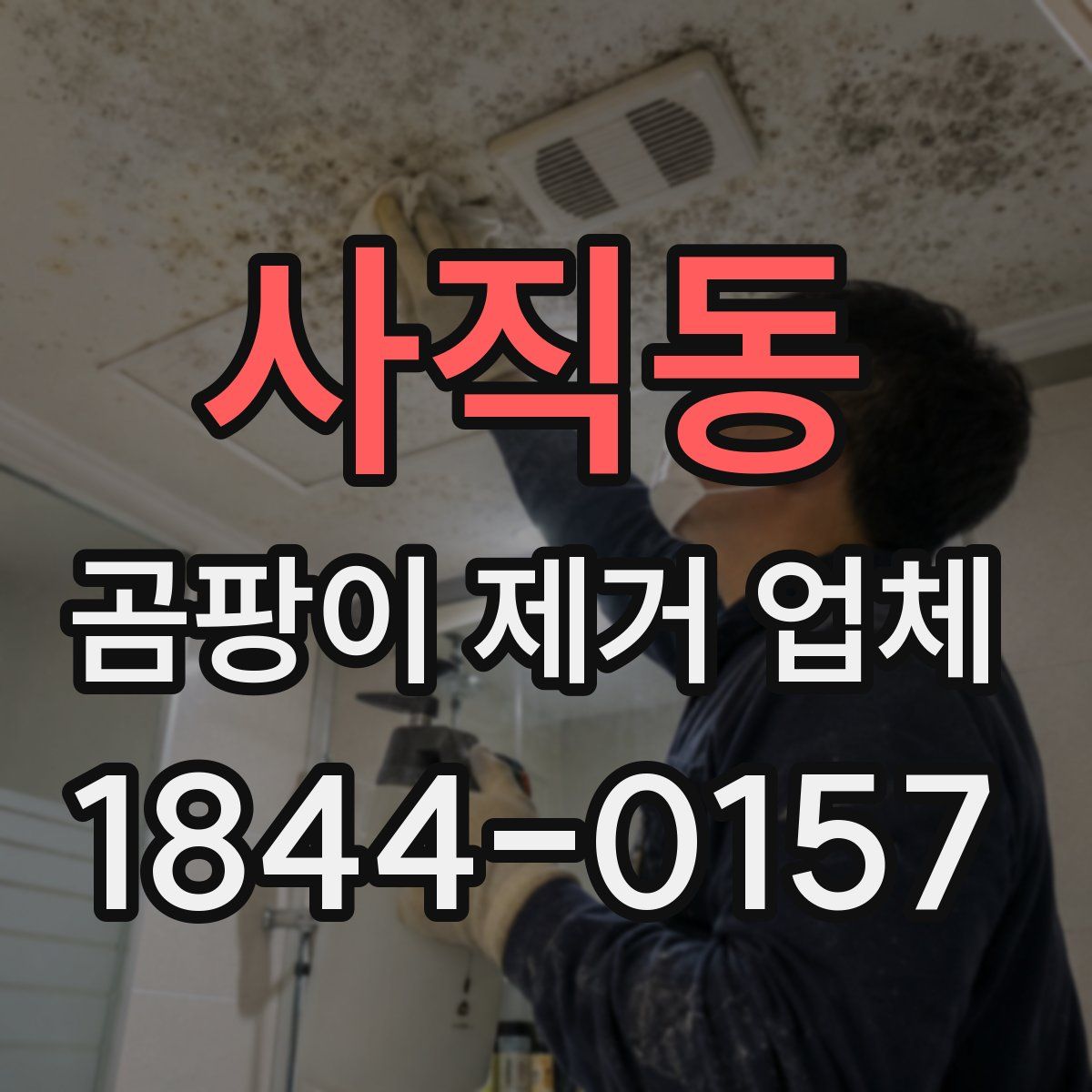 사직동 곰팡이 제거 업체