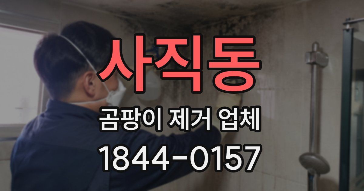 사직동 곰팡이 제거 업체