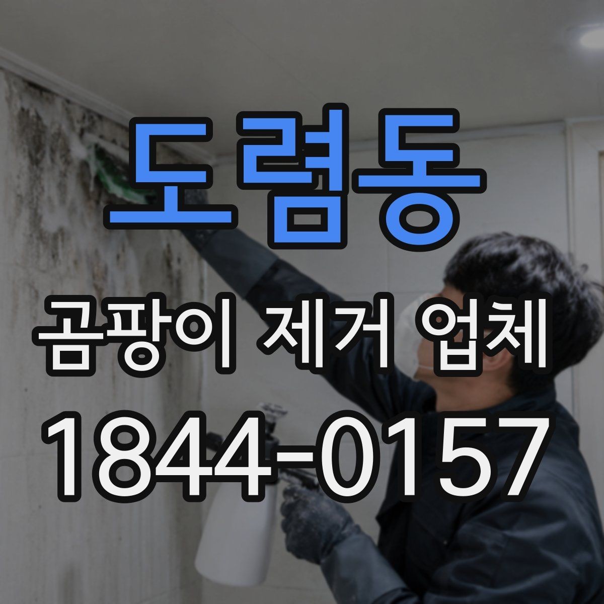 도렴동 곰팡이 제거 업체 창틀 접합부 근처터 살펴보는 점검 포인트