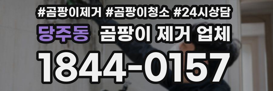 당주동 곰팡이 제거 업체