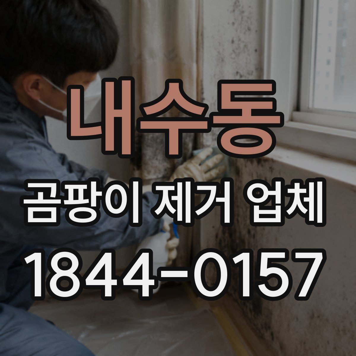 내수동 곰팡이 제거 업체 실내 습도와 오염 재발의 관계를 살펴보기