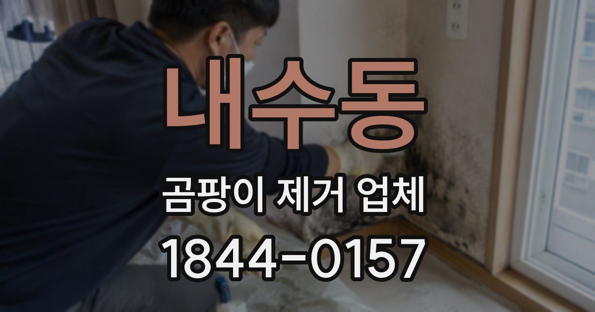내수동 곰팡이 제거 업체