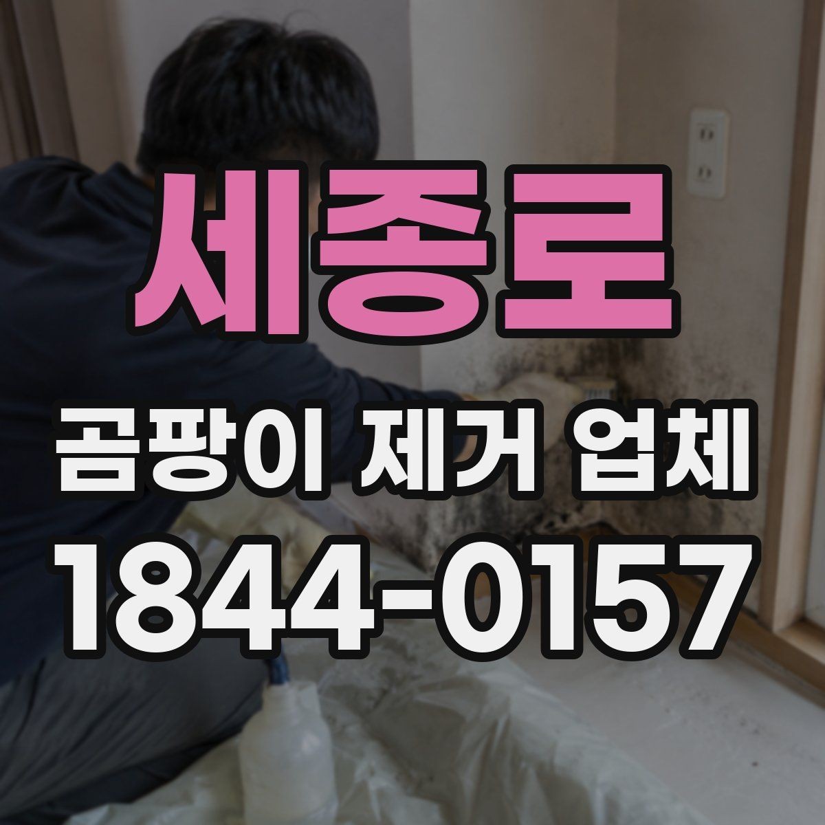 세종로 곰팡이 제거 업체 욕실과 주거공간 오염 양상 비교