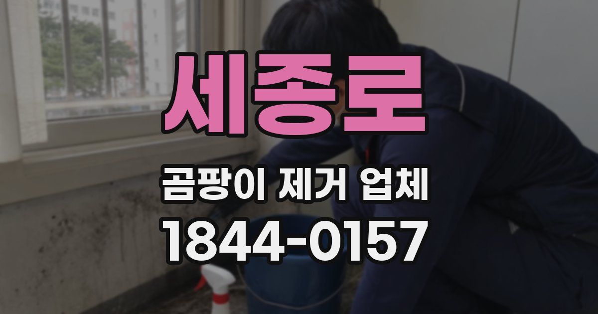 세종로 곰팡이 제거 업체