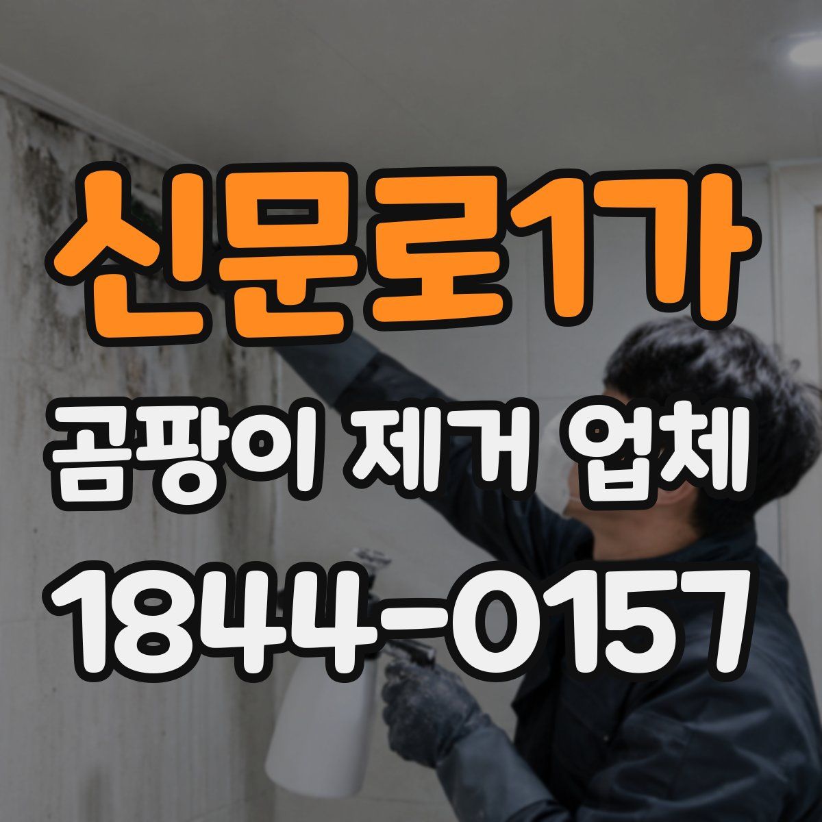 신문로1가 곰팡이 제거 업체