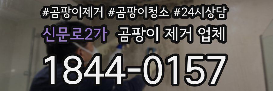 신문로2가 곰팡이 제거 업체