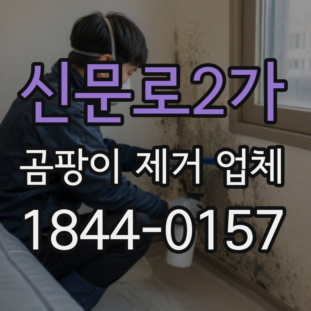 신문로2가 곰팡이 제거 업체