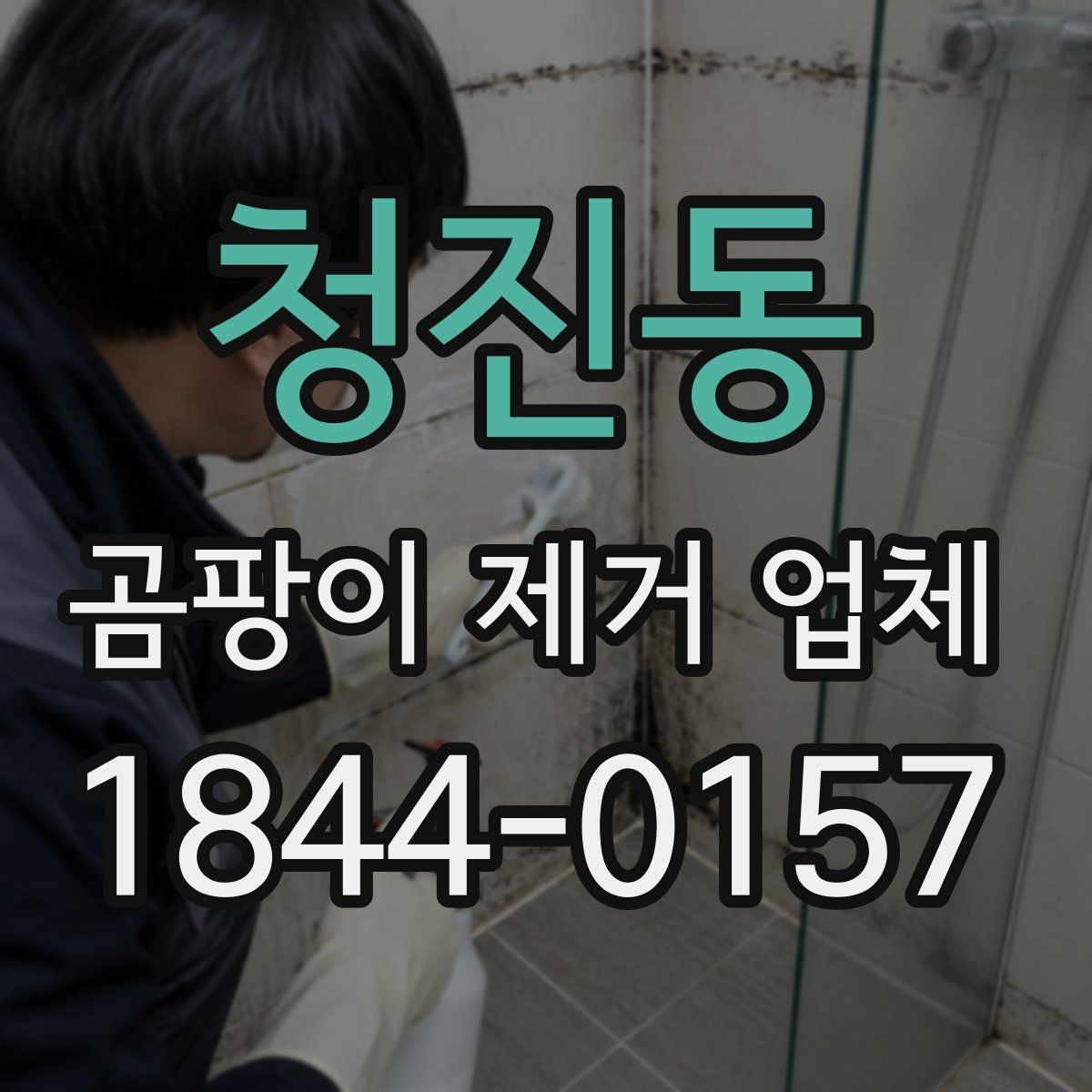 청진동 곰팡이 제거 업체 시공 자재의 상태에 따른 작업 범위 안내