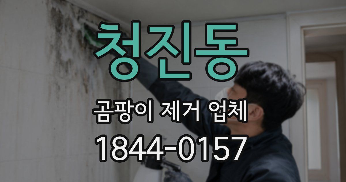 청진동 곰팡이 제거 업체