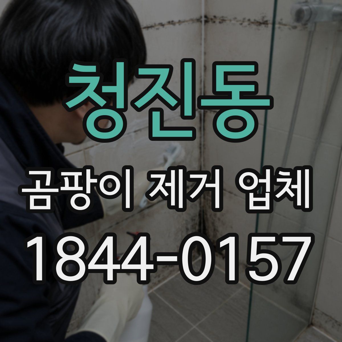 청진동 곰팡이 제거 업체