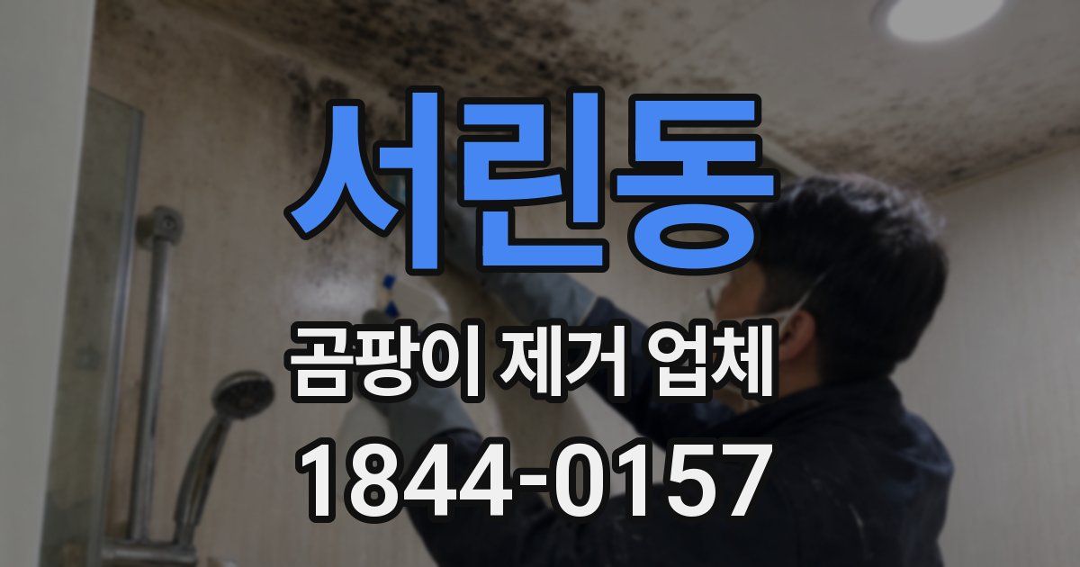 서린동 곰팡이 제거 업체