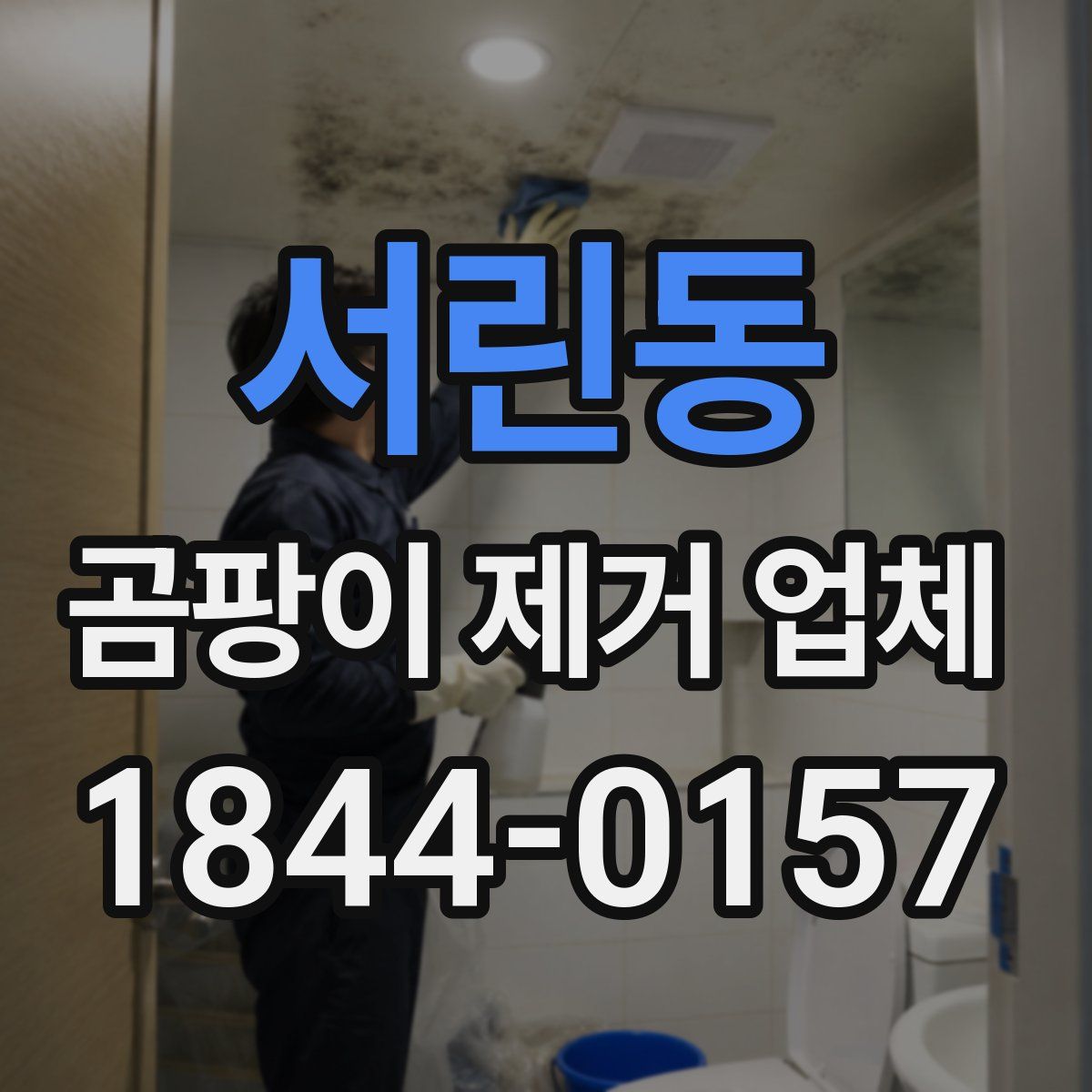 서린동 곰팡이 제거 업체