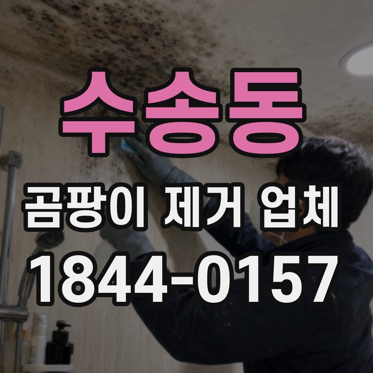 수송동 곰팡이 제거 업체 시공 뒤 환기와 습도 관리 요령