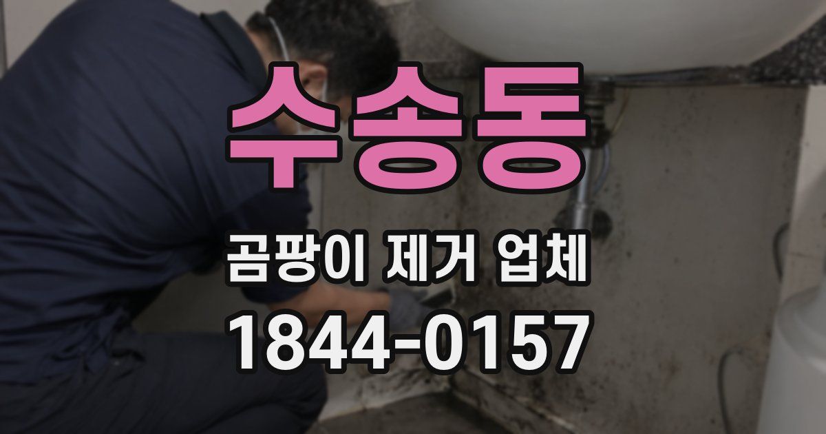 수송동 곰팡이 제거 업체