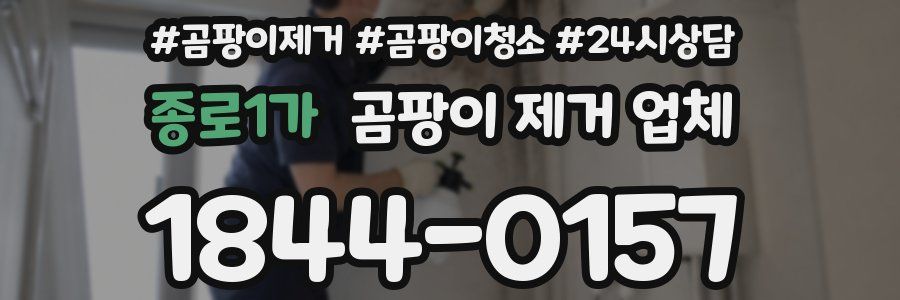 종로1가 곰팡이 제거 업체