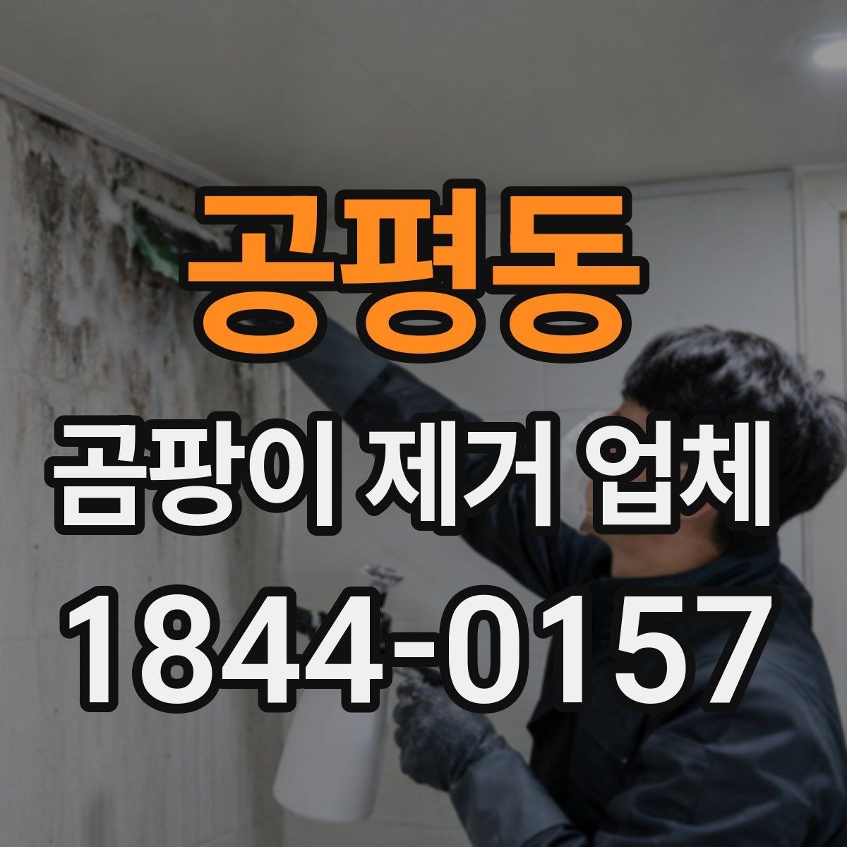 공평동 곰팡이 제거 업체 주거공간별 오염 범위 판단 기준