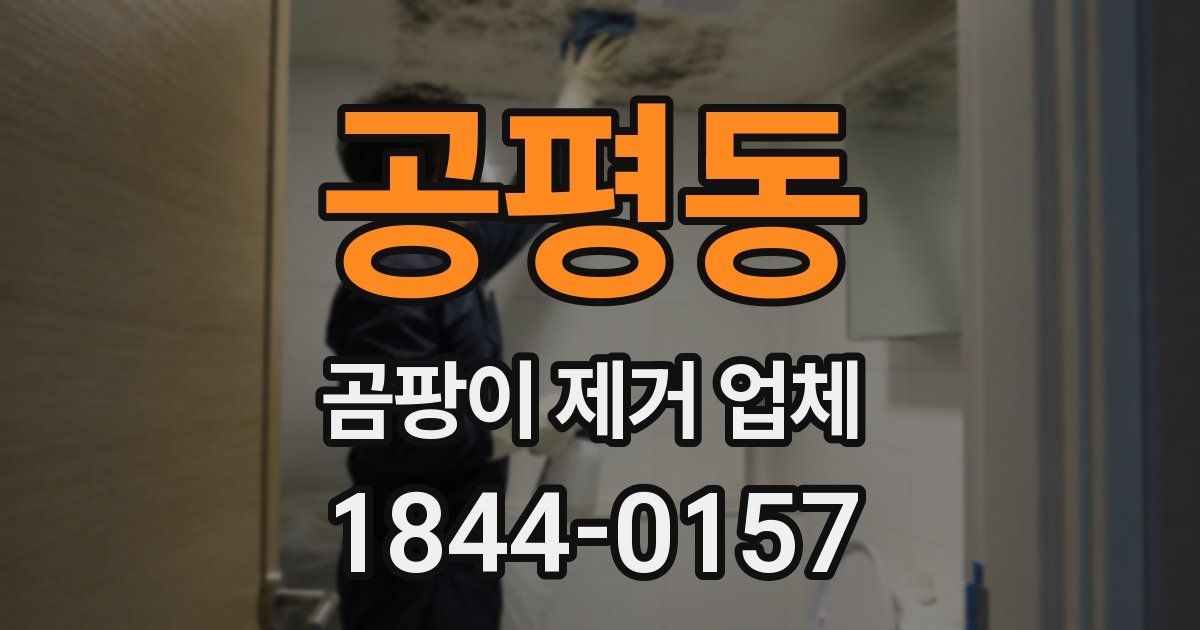 공평동 곰팡이 제거 업체