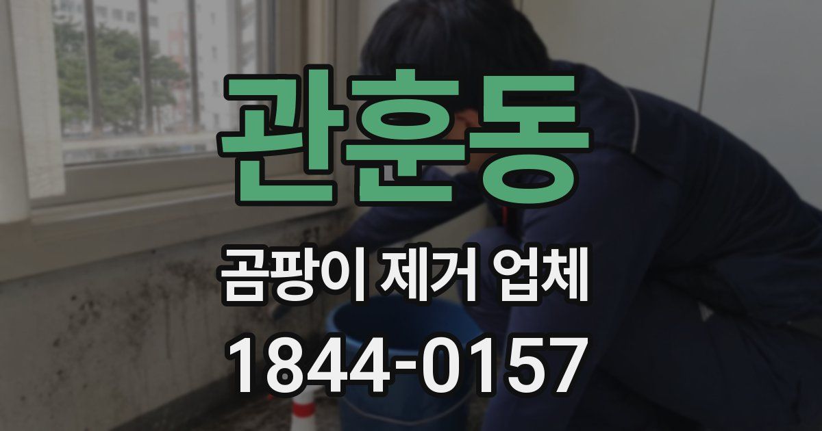 관훈동 곰팡이 제거 업체