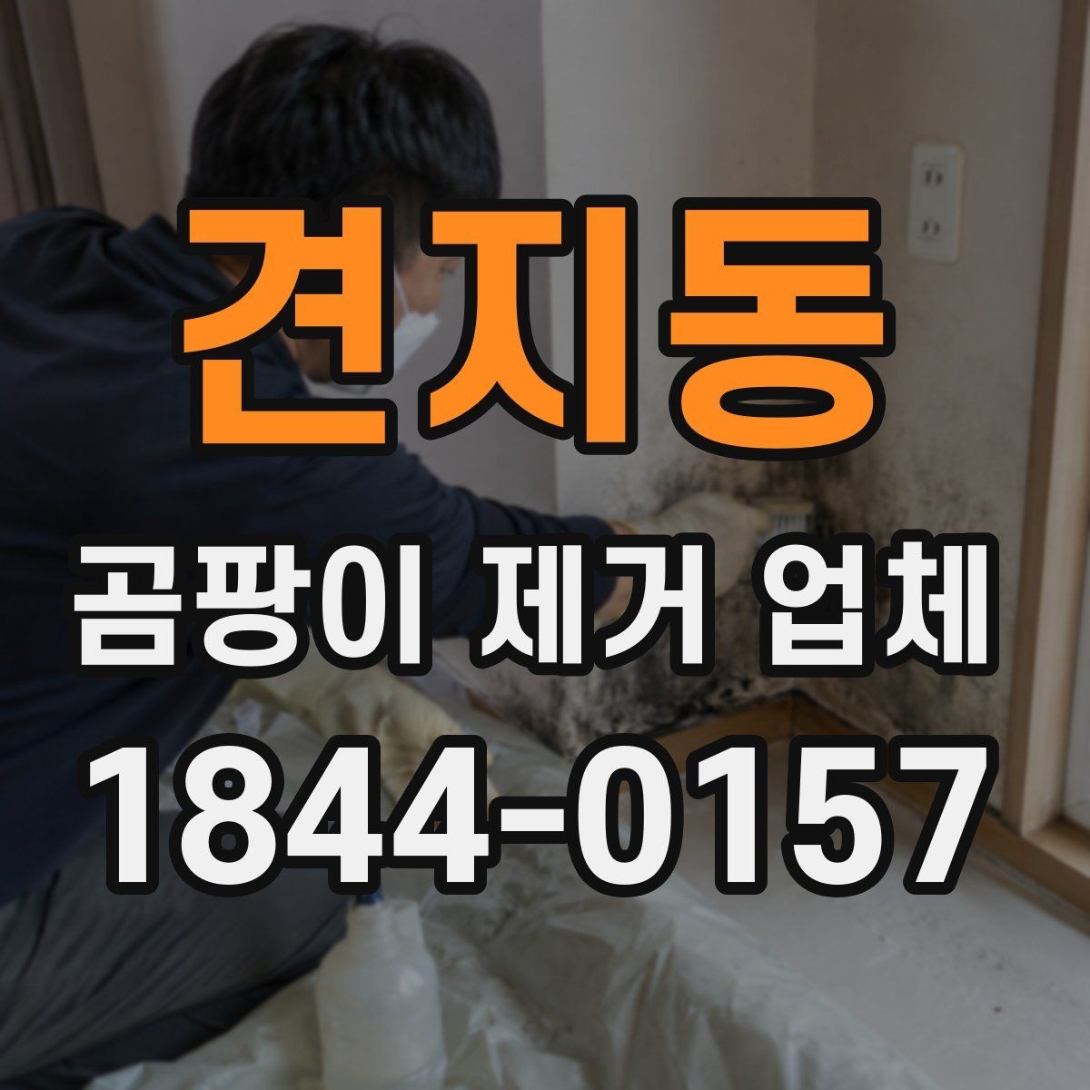 견지동 곰팡이 제거 업체 창틀 가장자리터 살펴보는 점검 포인트